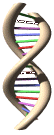 dna.gif dna.gif
