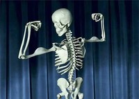 funny skeleton. funny skeleton.