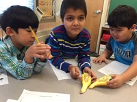 Students Learning Students Learning