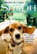 Shiloh